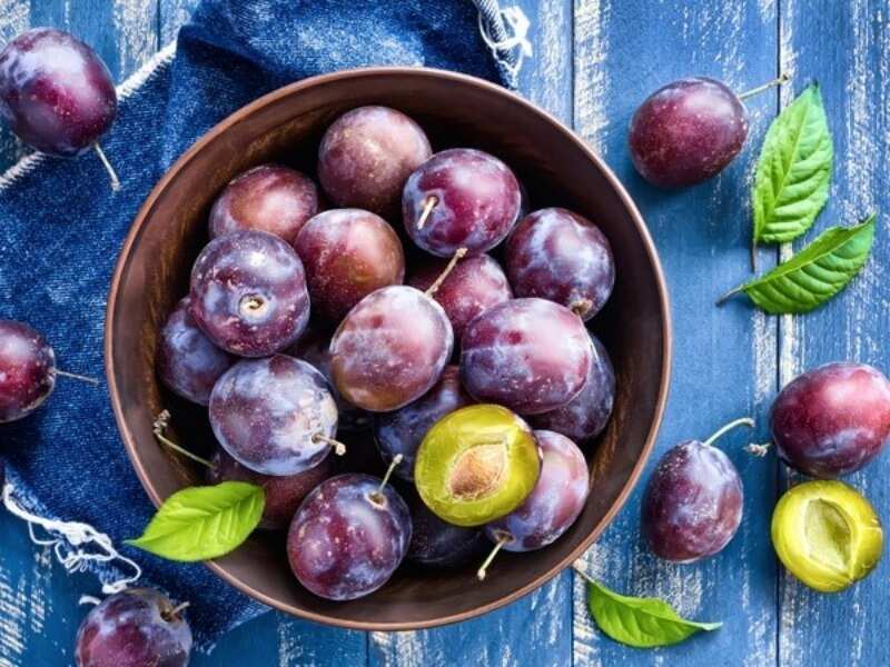 Say hello to plum oil, the elixir to all your skin related woes Say hello to plum oil, the elixir to all your skin related woes