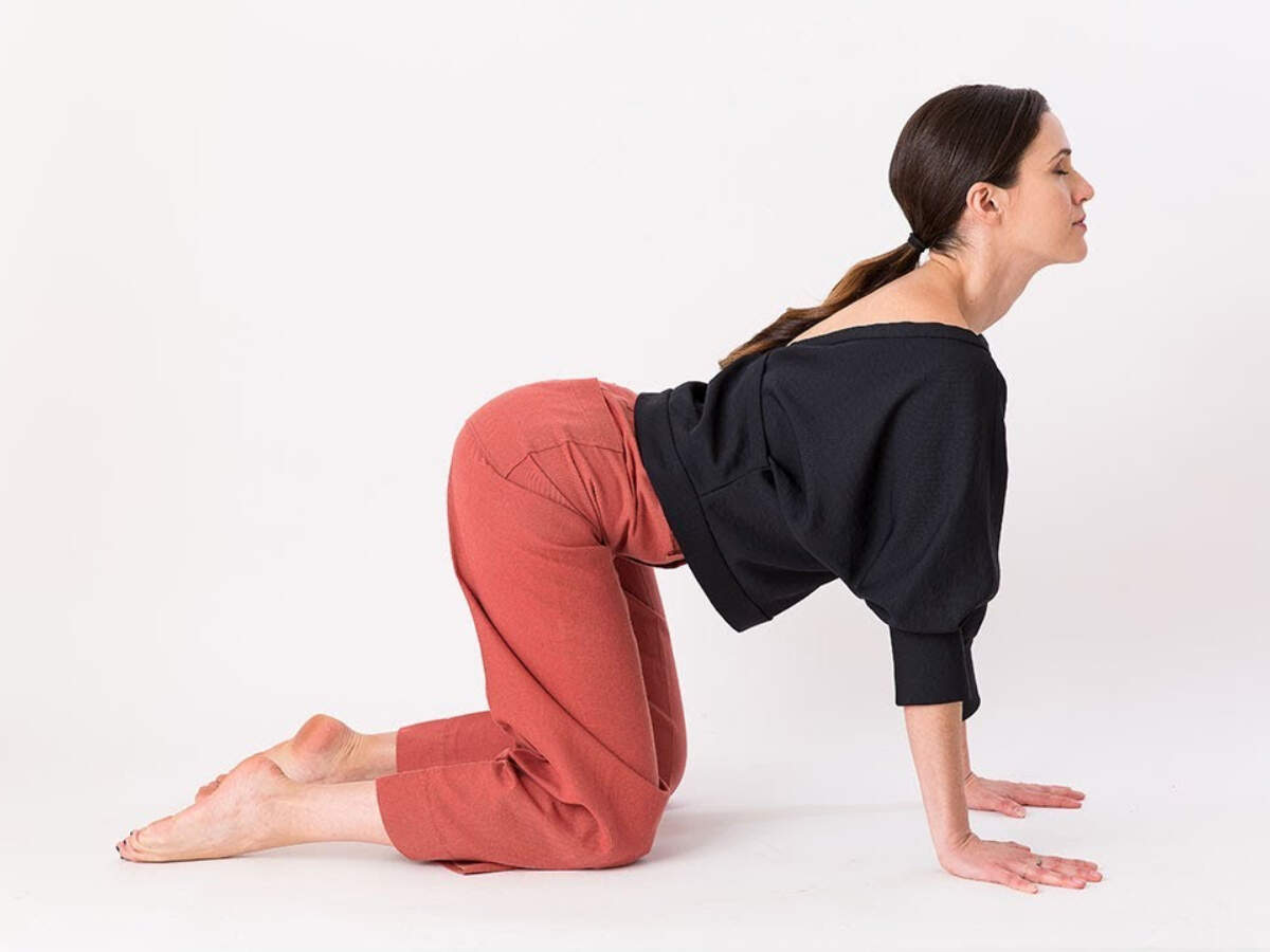Cat Pose Yoga Best Yoga Asana To Strengthen Your Back Misskyra cat-pose-yoga-best-yoga-asana-to-strengthen-your-back-misskyra