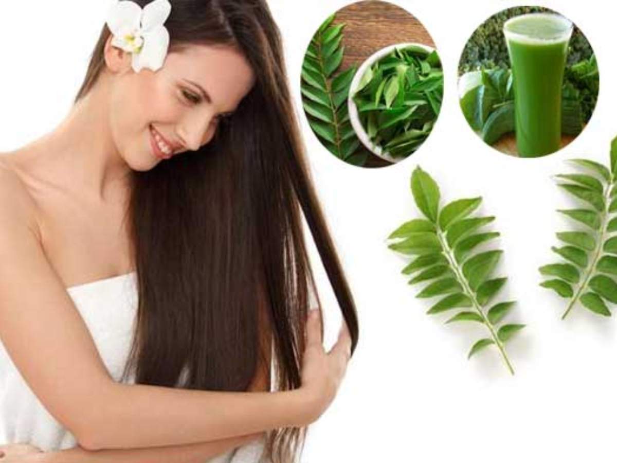 All the good ways in which you can use curry leaves for your hair - VietNam...